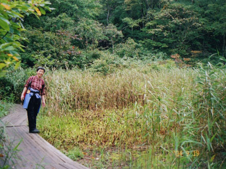 湿原の木道で・磐梯山