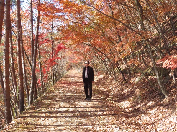 photo：今年の紅葉、見納めかな・地附山