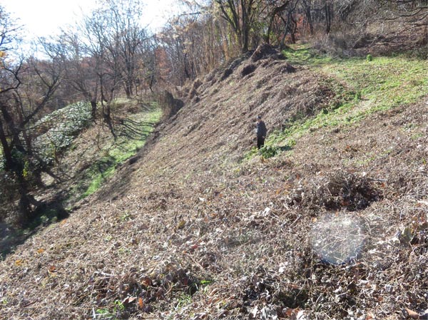 photo：雑草が取り払われたタツネ坂の急斜面・地附山
