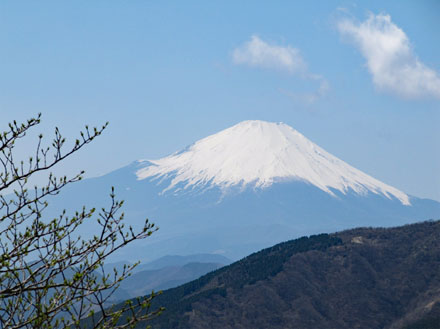 photo：山頂近くから富士山・大山