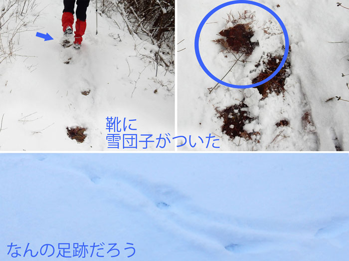 photo：靴に雪団子がついた,動物の足跡・地附山