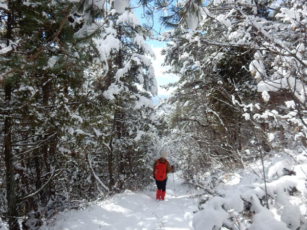 photo：地附山の雪道