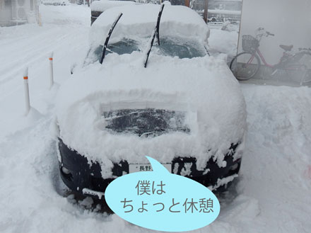photo：雪に車も埋もれている