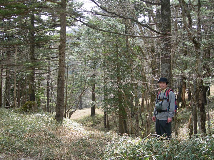 photo：森の中を歩く・大台ヶ原