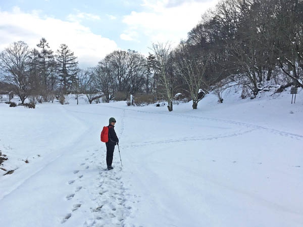 photo：雪が積もっている植物園・茶臼山