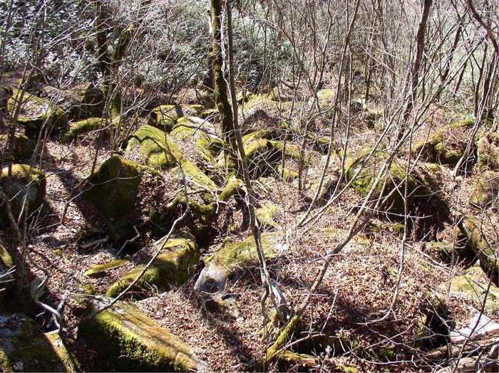 photo：苔むした岩が連なる・雁ヶ腹摺山