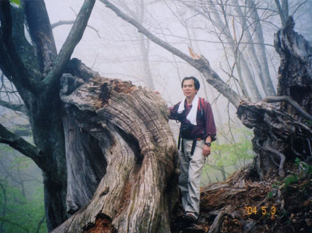photo：大木に親しみを感じる・茅ヶ岳