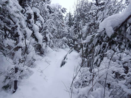 photo：雪に登山道が埋もれている・地附山