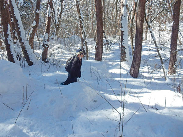 photo：雪の森の中にあそぶ・地附山