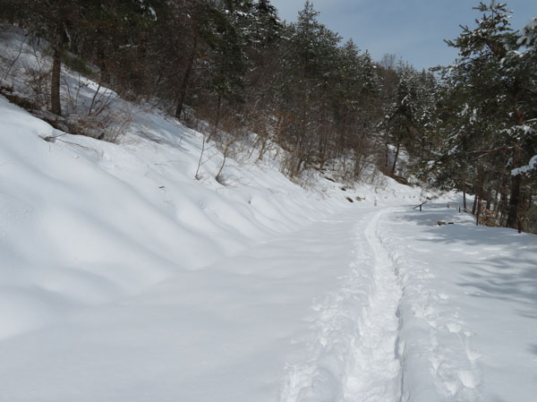 photo：雪の上に一本道・パワーポイント・地附山