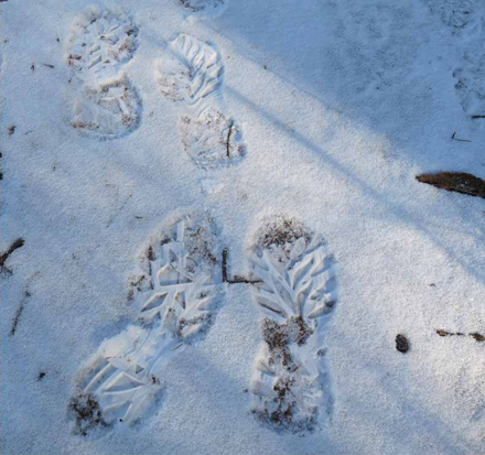 写真・雪に残った足跡