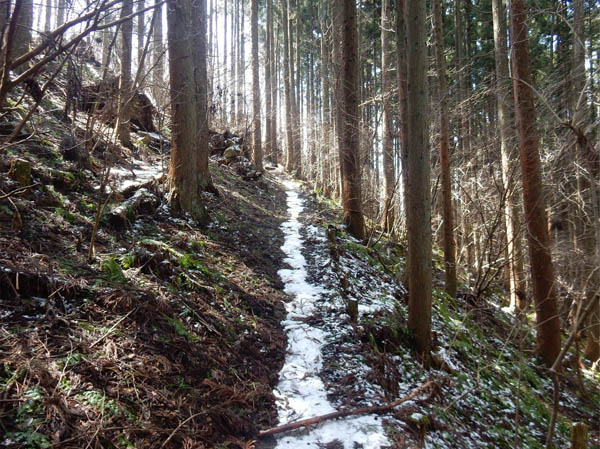 photo：雪が残る山頂直下の登山道・髻山