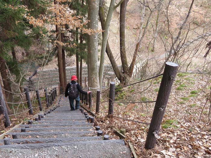 写真：自然探索路の急な階段・昭和の森公園