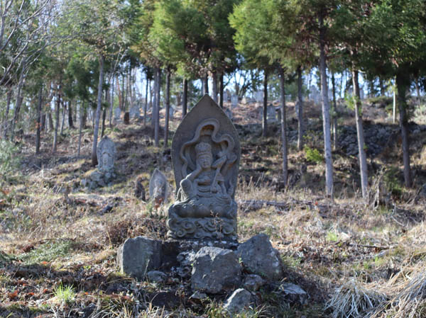 photo：塩崎城跡までの石仏が並ぶ道・長谷寺
