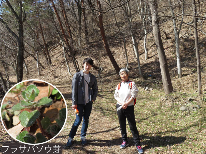 photo：小さな芽を見つけた    2022.3.15・長野市西長野