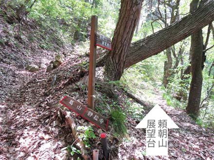 photo：この道がすごく荒れていた・頼朝山