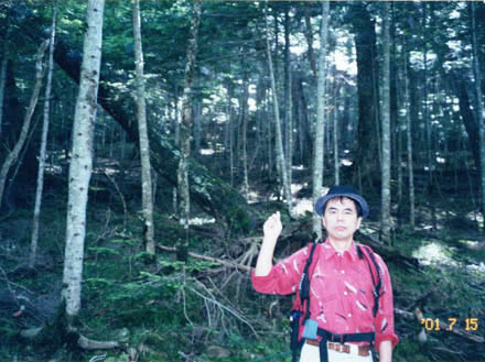 photo ：登り始めは針葉樹の森：蓼科山