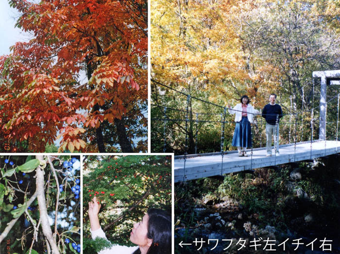 photo：紅葉と実りと19951014：北軽井沢