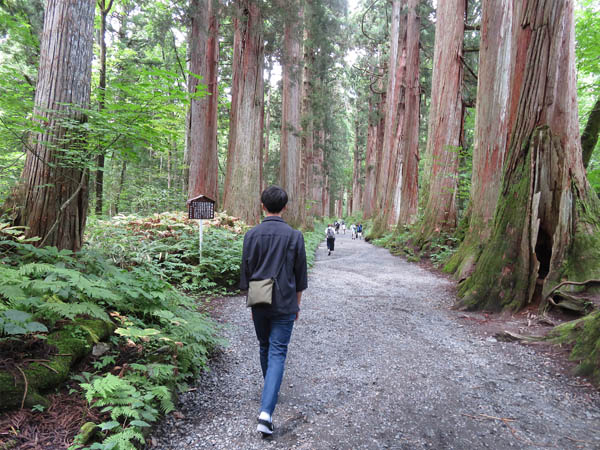 photo：奥社への杉並木の参道：戸隠高原