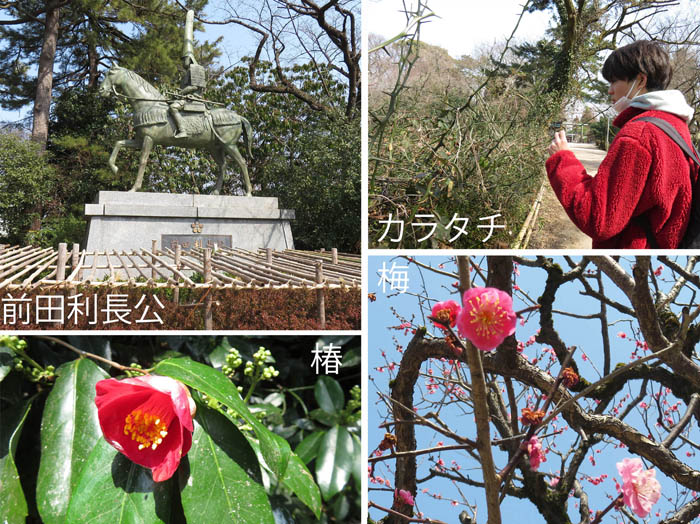 photo：梅の花など：高岡古城公園で