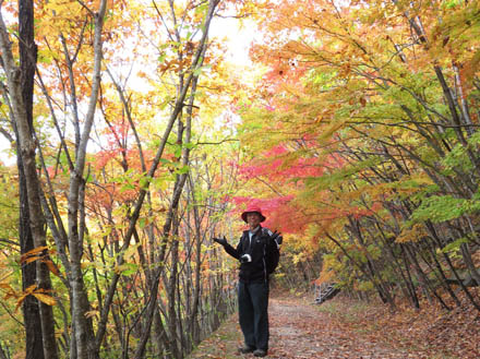 photo：紅葉が進んだ地附山