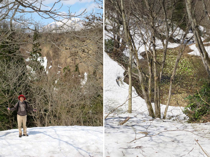 写真4遠くの山と眼下の水芭蕉・斑尾高原