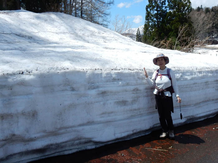 写真5雪の壁・斑尾高原