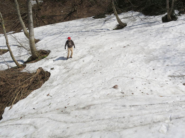 写真7残雪の崖の上を歩く・斑尾高原