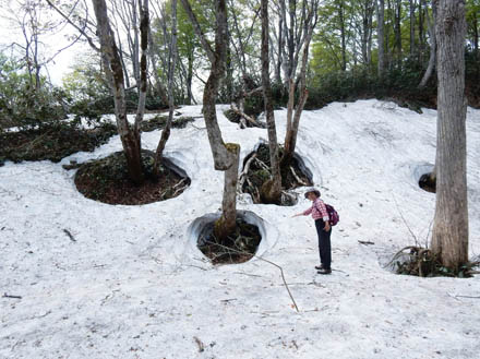 写真12春の森：袴岳