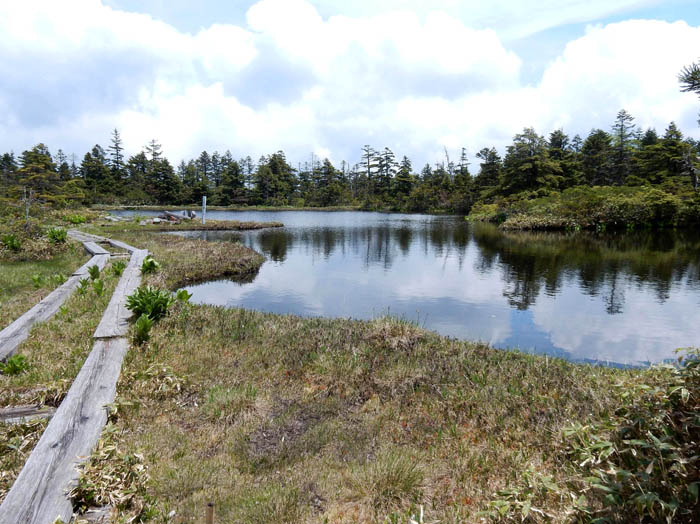 焼額山山頂の稚児池