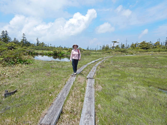 広い山頂湿原：焼額山