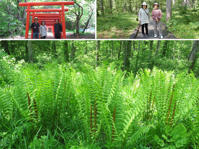 天明稲荷：戸隠鏡池へ