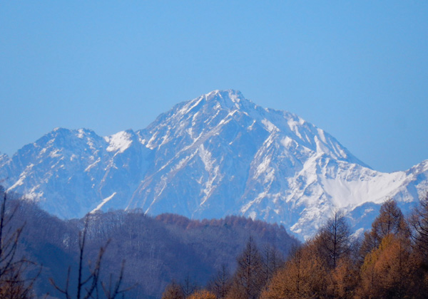 写真・陣馬平山から見た五竜岳
