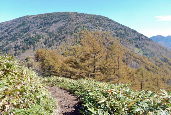写真・烏帽子岳登山道から見た湯ノ丸山