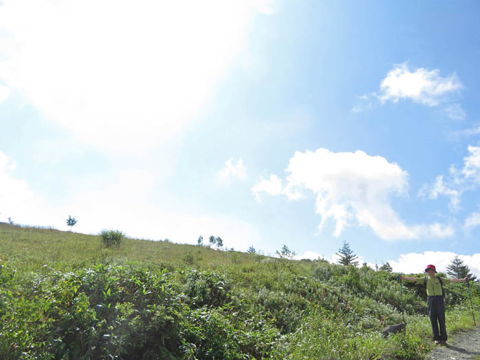 photo 1五味池波風高原自然園