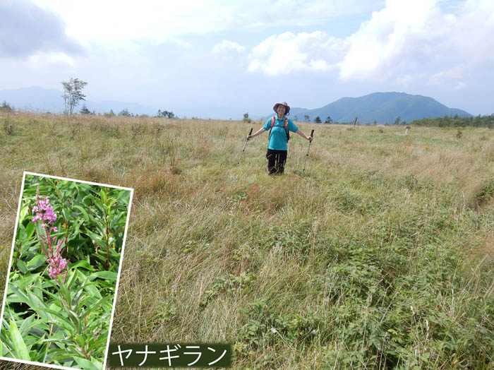 photo10広い五味池破風高原
