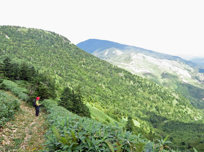photo21土鍋山登山道より破風岳と御飯山