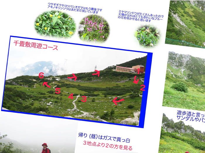 photo4紹介文の一部分