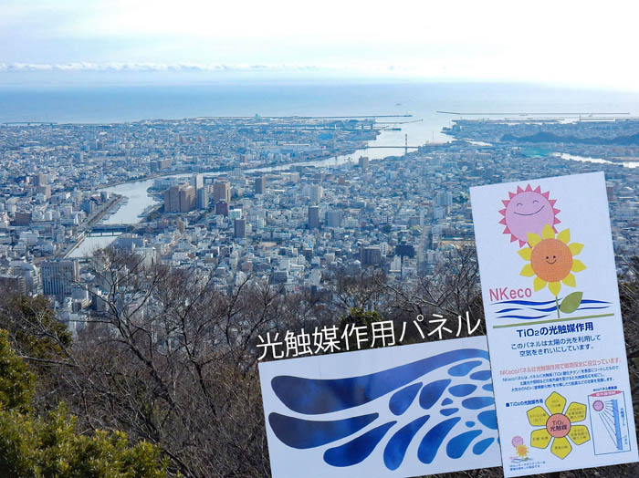 photo10眉山から新町川河口