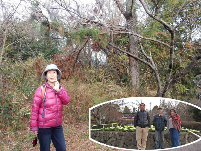 photo11整備された花壇と荒れた森が同居