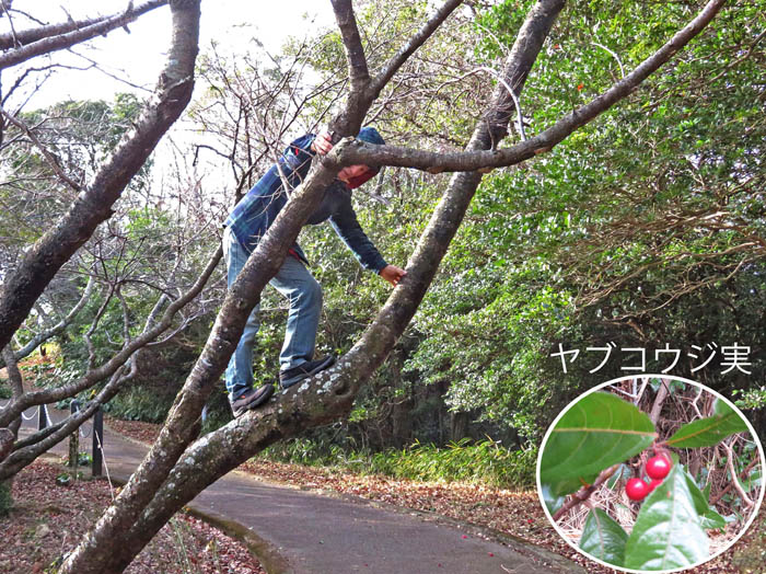 photo7高いところが好きなのは誰かな