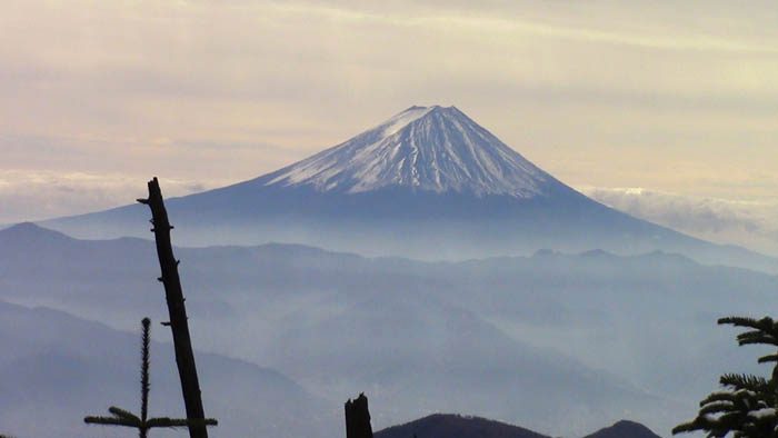 写真・秩父朝日岳からの富士山