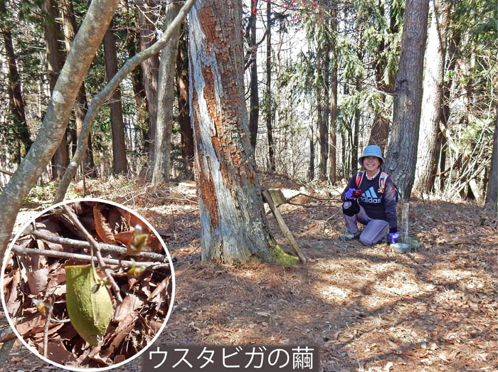 photo三角点