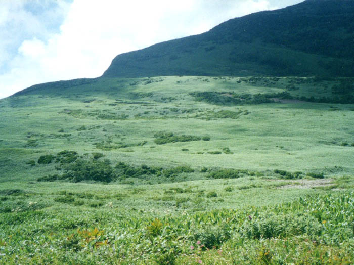 photo16緑の広がりが続く
