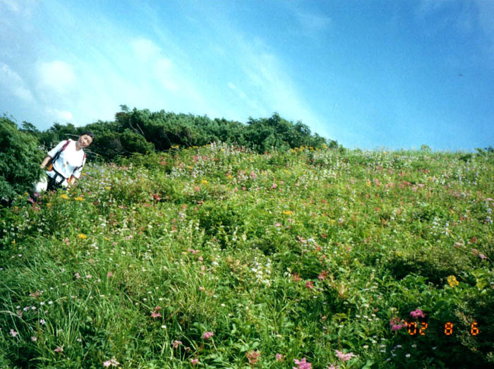 photo8お花畑が広がる