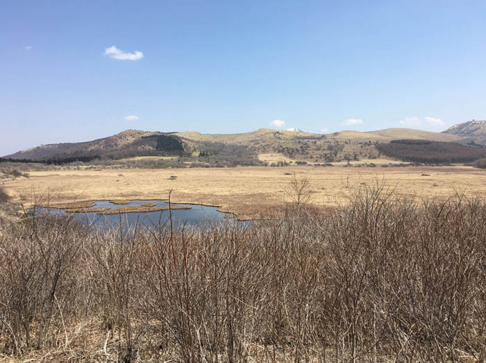 photo15八島ヶ原湿原はまだ茶色