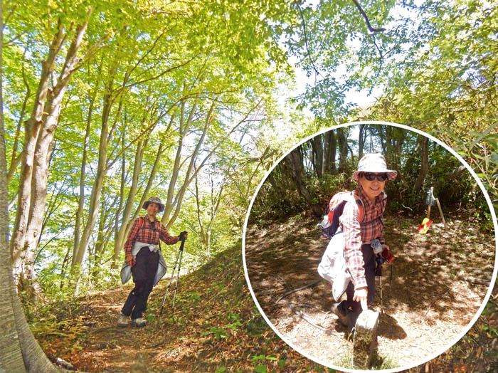 photo14ブナの森を登って明神峠へ