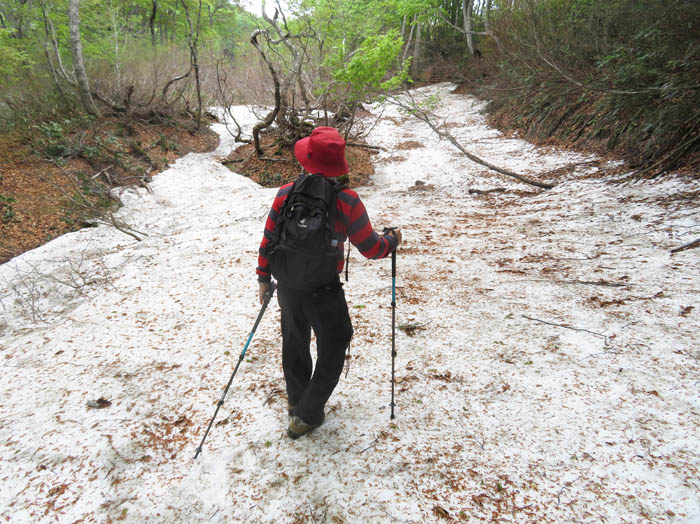 photo17道を探しながら