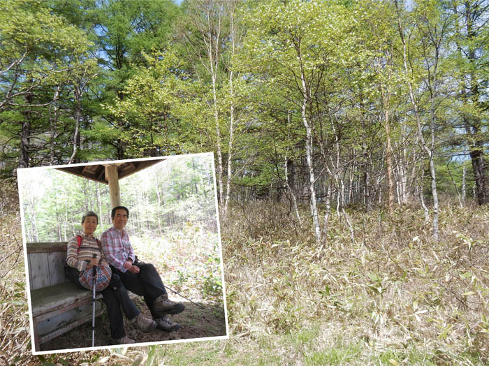 photo11乾いた湿原