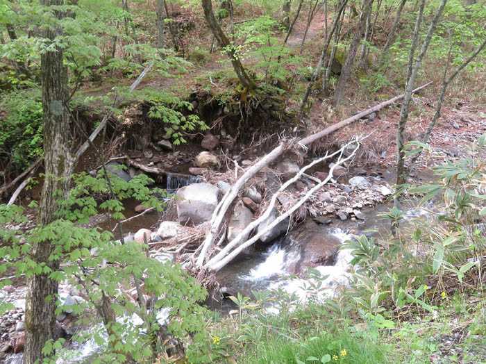 photo3台風でえぐれた川岸